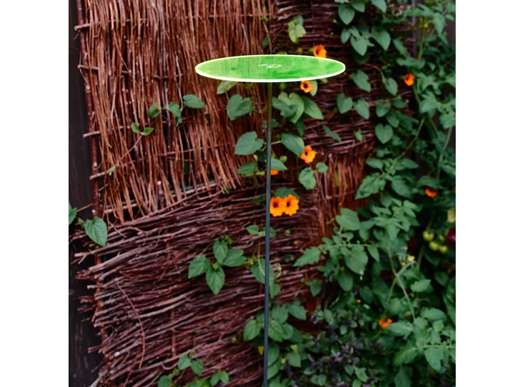 cazador-del-sol-uno-gruen01