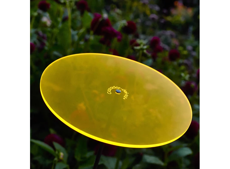 cazador-del-sol-uno-gelb01