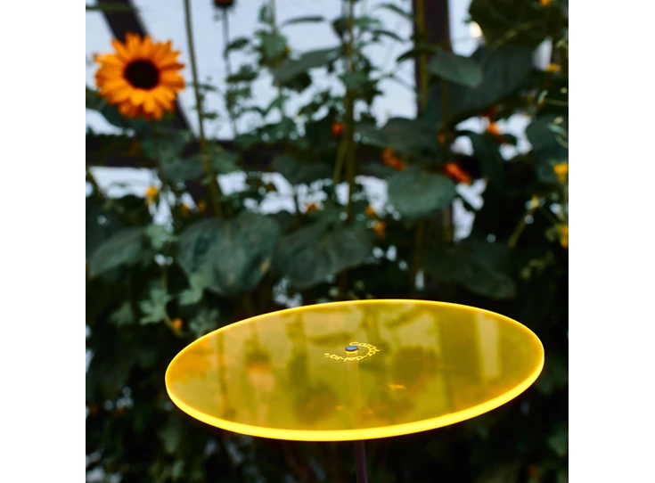 cazador-del-sol-uno-gelb05