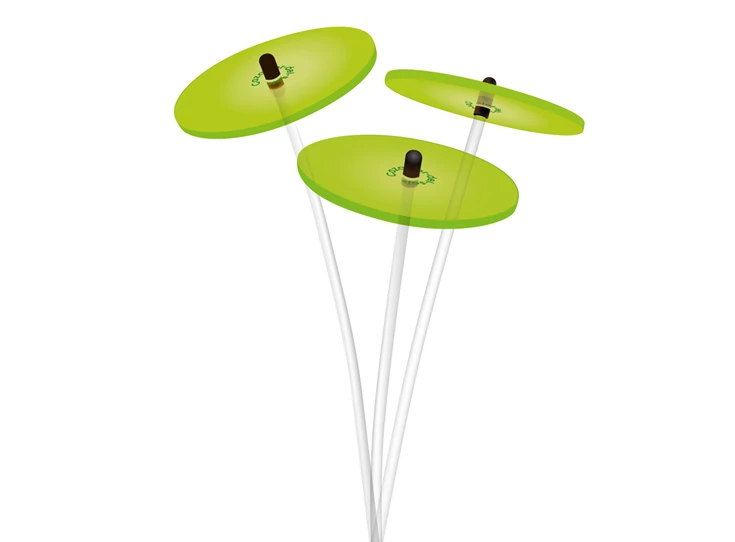 sonnenstrauss-gruen03-1000x1000