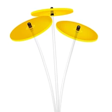 sonnenstrauss-gelb01-1000x1000