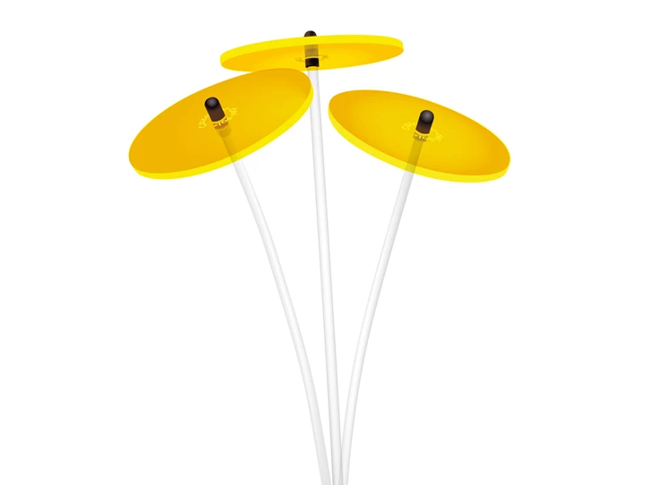 sonnenstrauss-gelb01-1000x1000