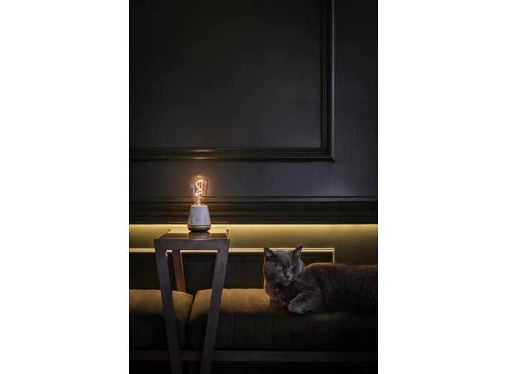 One-Marble-Cat - Medium.jpg