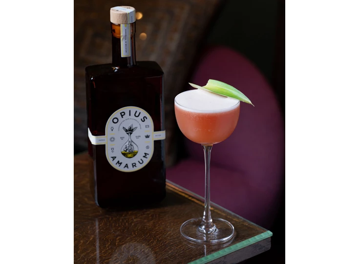 Opius Amarum Materne.JPG