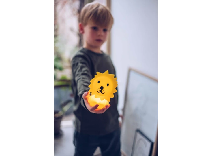 LR_Bundle_Lion_01 - Mr Maria.JPG