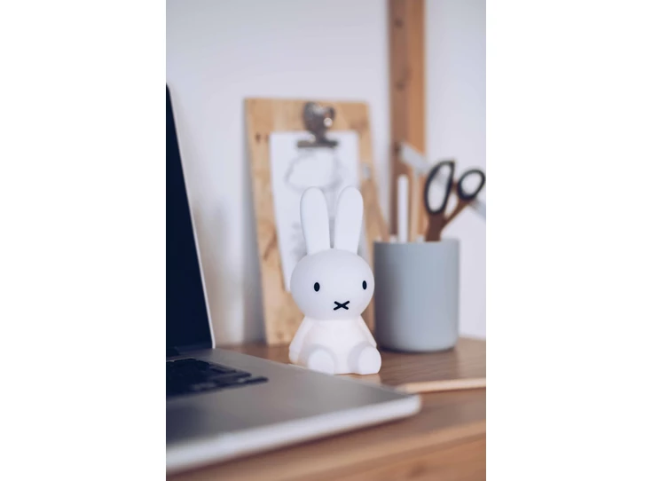 LR_Bundle_Miffy_02 - Mr Maria.JPG