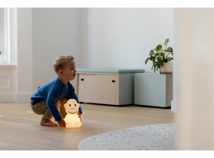 MONKEY -MrMaria-LR_02.jpg