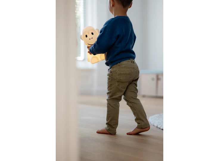 MONKEY -MrMaria-LR_03.jpg