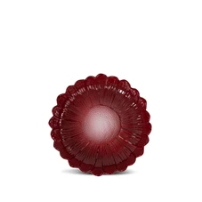 96009-1.jpg