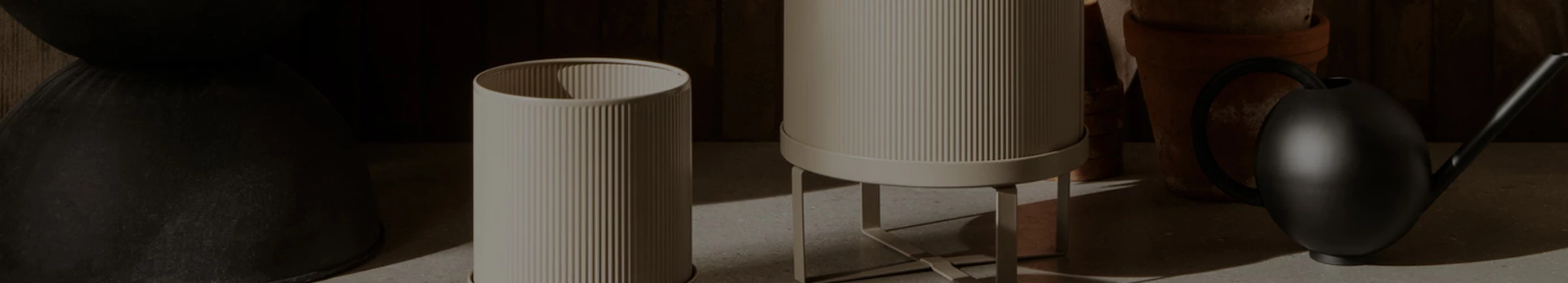 Bloemen & planten overige