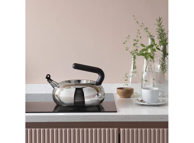 Alessi-Bulbul-waterketel