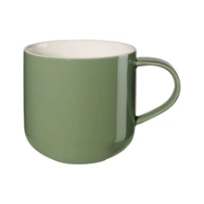 Asa-Coppa-beker-met-handvat-04L-cactus