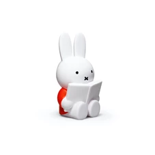 Atelier-Pierre-Nijntje-leest-spaarpot-D19cm-H10cm