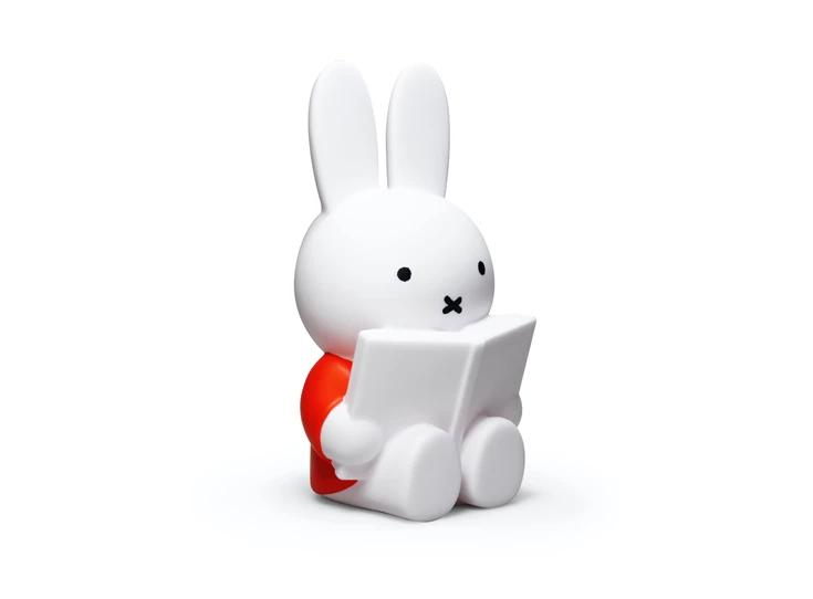 Atelier-Pierre-Nijntje-leest-spaarpot-D19cm-H10cm