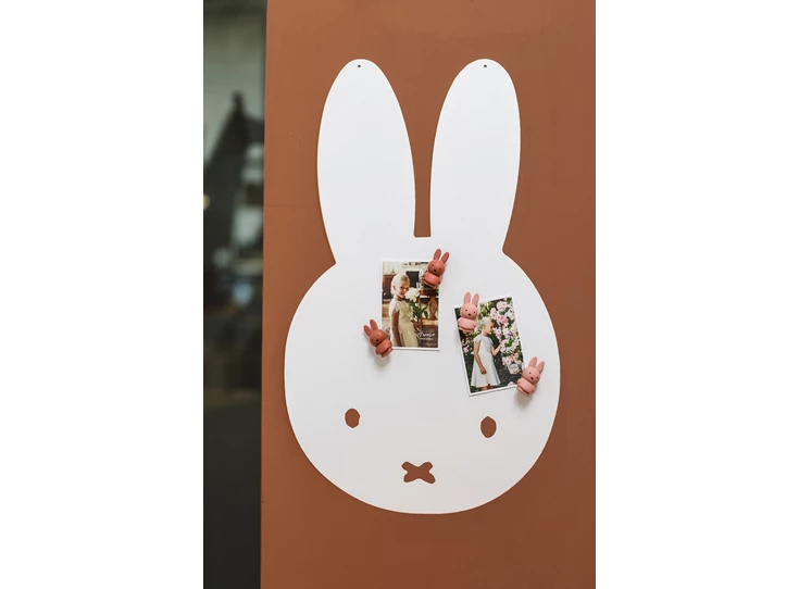 Atelier-Pierre-Nijntje-magneten-set-van-4-2x-powder-2x-terra