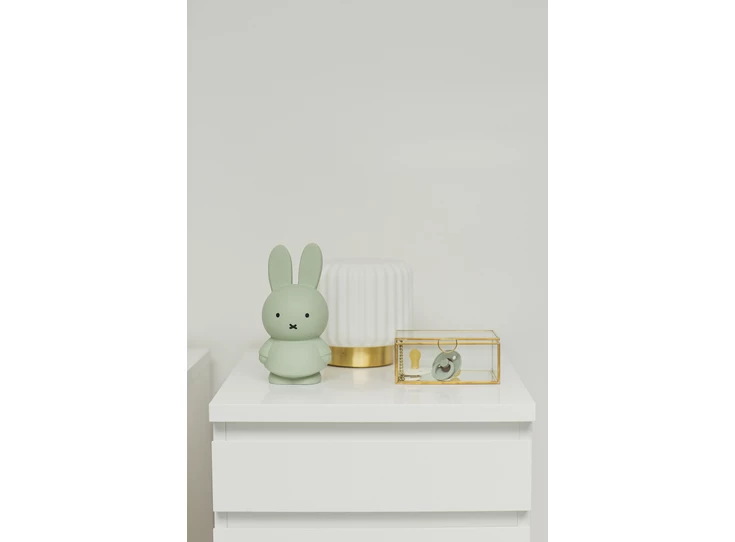 Atelier-Pierre-Nijntje-spaarpot-H19cm-eucalyptus