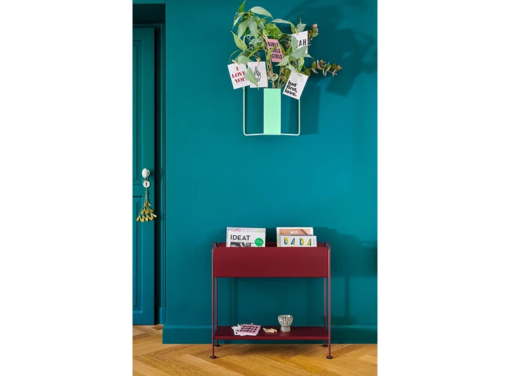 Fermob-Picolino-rek-planthouder-cactus