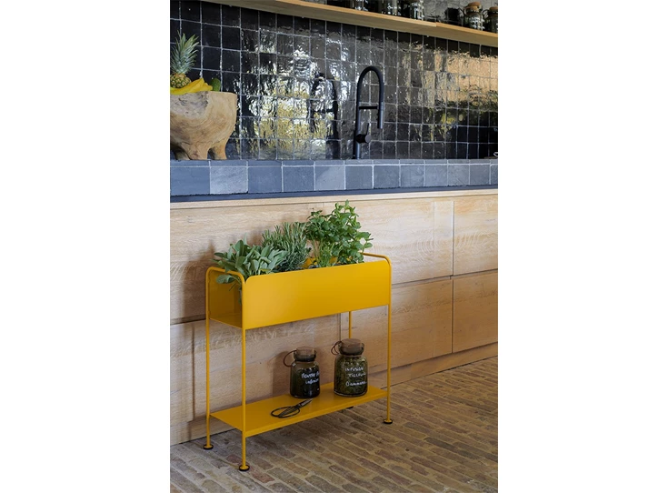 Fermob-Picolino-rek-planthouder-cactus