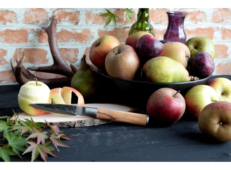 OliveForged-schilmes-sf-gr-1