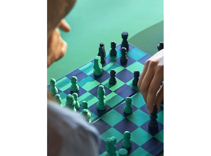 Hay-gezelschapsspel-schaakspel-groen