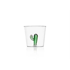 Ichendorf-Desert-Plant-glas-cactus-groen