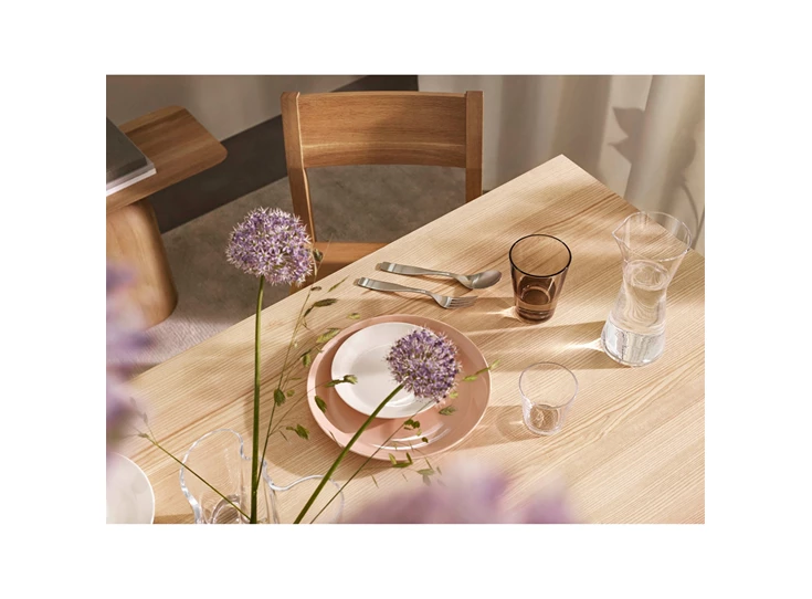 Iittala-Citterio-98-tafellepel