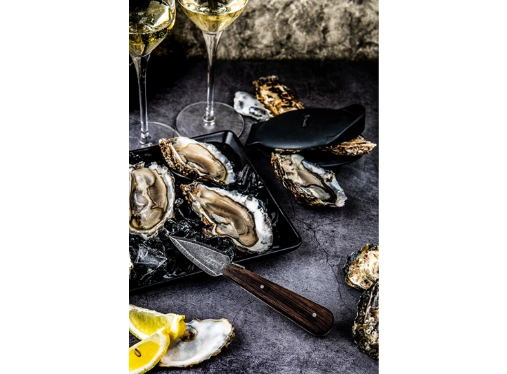 Laguiole-Style-de-Vie-giftset-oestermes-wenge-met-siliconen-handbeschermer