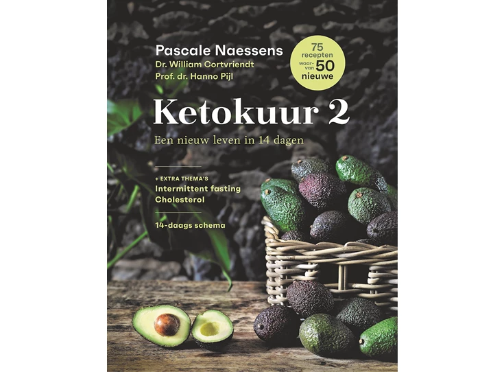 Pascale-Naessens-Ketokuur-2
