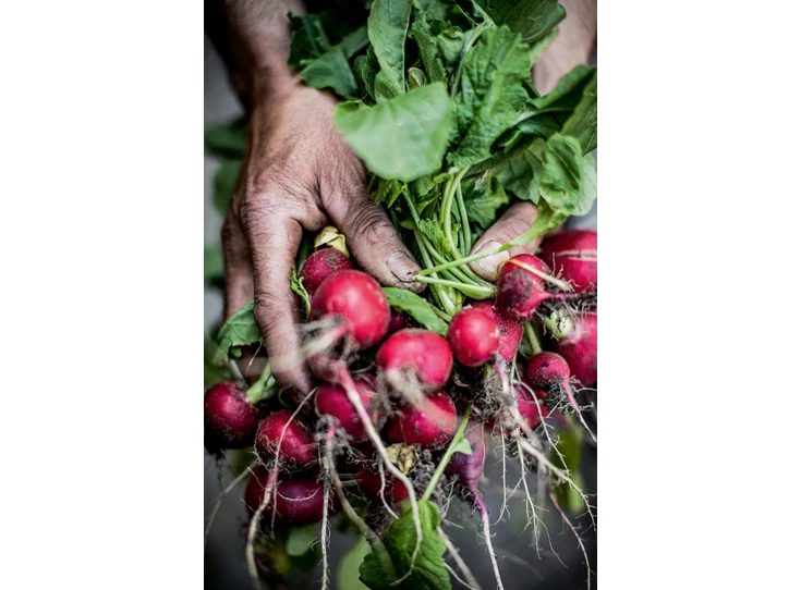 Pascale-Naessens-Puur-De-wereld-van-Pascale-Naessens
