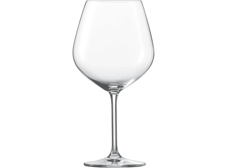 Schott-Zwiesel-Vina-bourgogne-glas-set-van-6-nr140