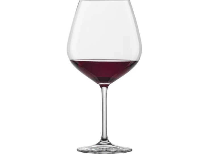 Schott-Zwiesel-Vina-bourgogne-glas-set-van-6-nr140
