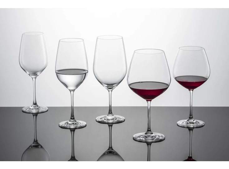 Schott-Zwiesel-Vina-bourgogne-glas-set-van-6-nr140