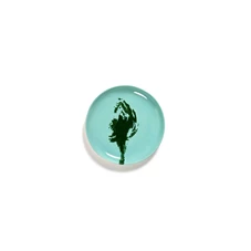 Serax-Yotam-Ottolenghi-Feast-bord-M-225x225x2cm-azure-artisjok-groen