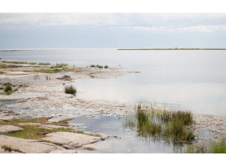 Skandinavisk-Candle-65gr-20u-Oy-Island