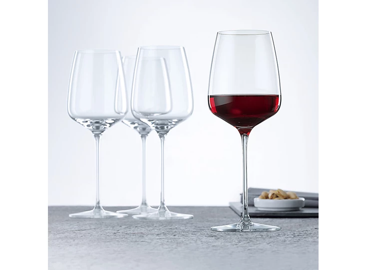Spiegelau-Willsberger-set-van-4-rodewijnglas
