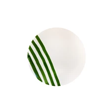 Val-Pottery-Foolish-schaal-D355cm-H5cm-Fruit-Feast-groen-streep