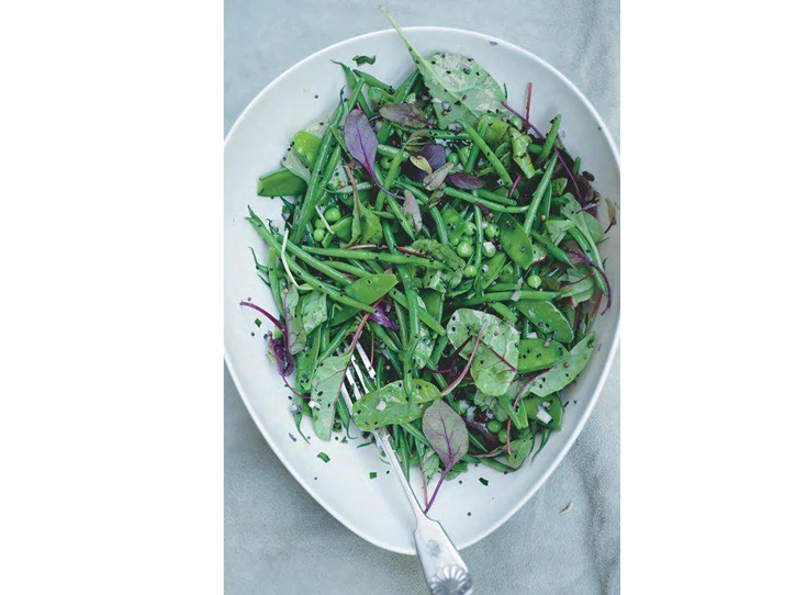 Yotam-Ottolenghi-Plenty