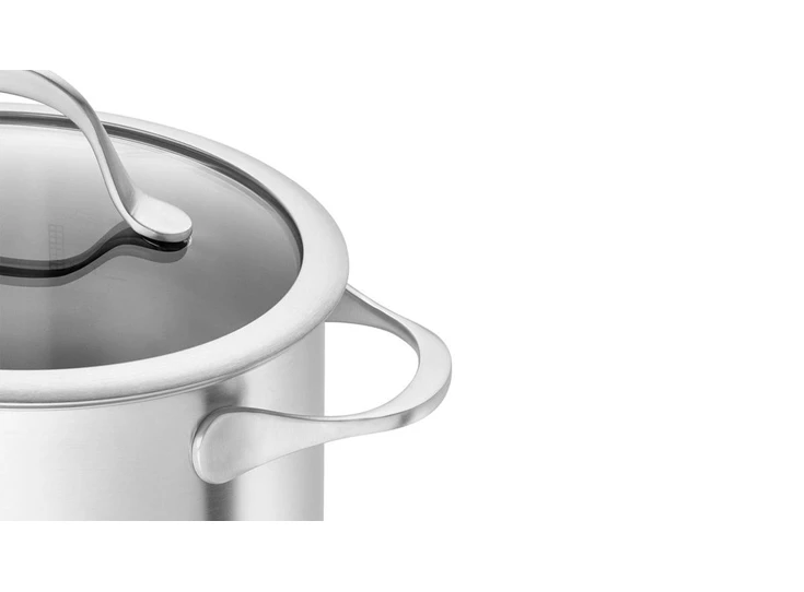 Zwilling-Essence-kookset-5dlg-kookpot-20cm3L-kookpot-16cm2L-kookpot-20cm35L-kookpot-24cm6L-steelpan-